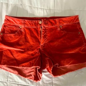 Fashion nova shorts